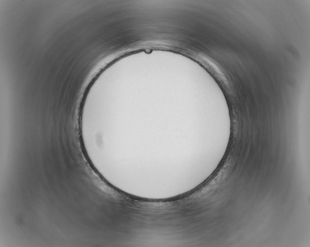 X0000112081192200909011037