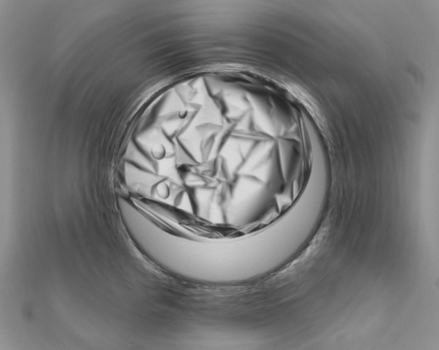 X0000112081193200909011037