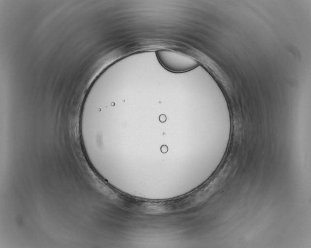 X0000112081194200909011037