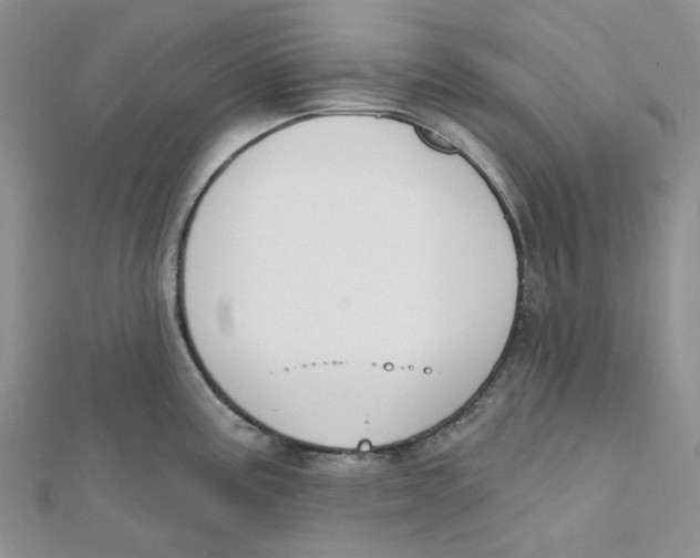 X0000112081195200909011037