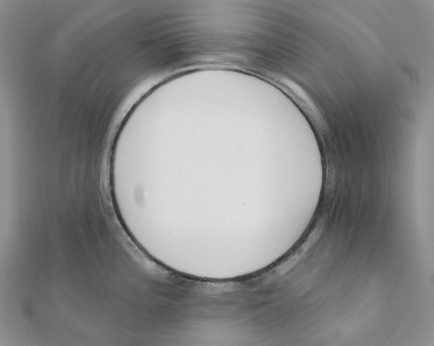 X0000112081196200909011037
