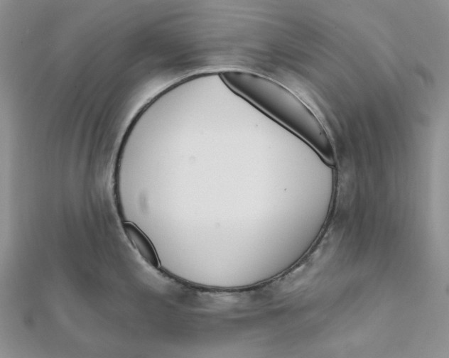 X0000112081197200909011037