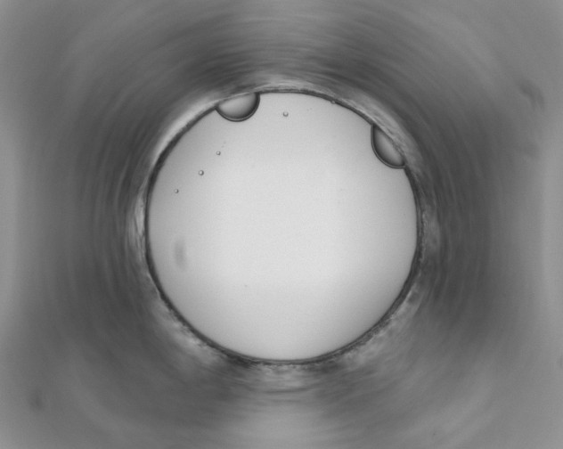 X0000112081198200909011037