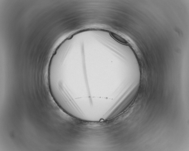 X0000112081199200909011037