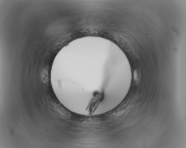 X0000112081203200909011036