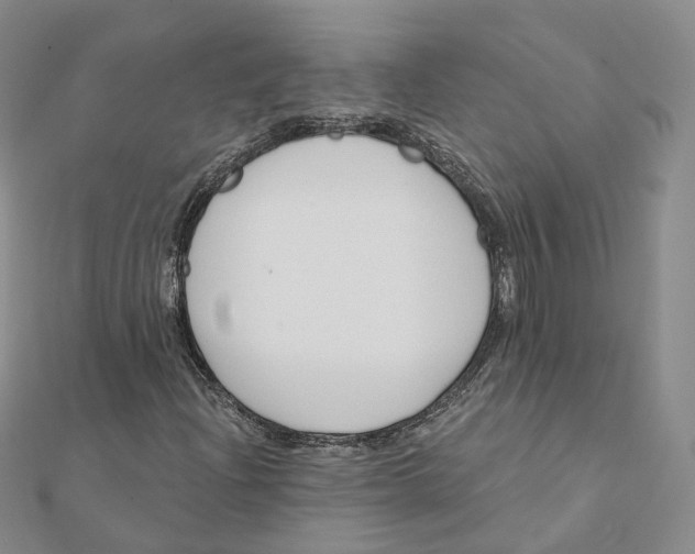 X0000112081204200909011036