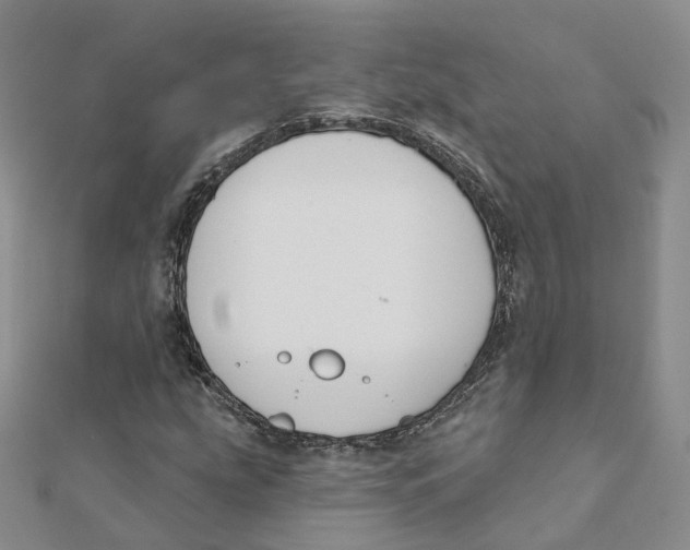 X0000112081207200909011037
