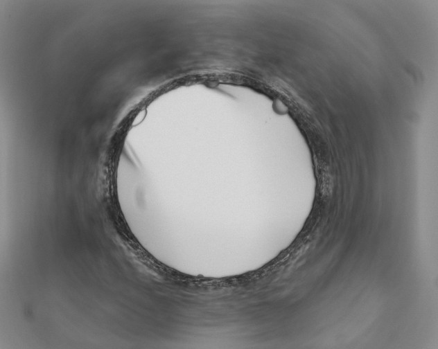 X0000112081208200909011037