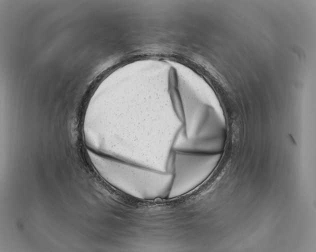 X0000112081213200909011037