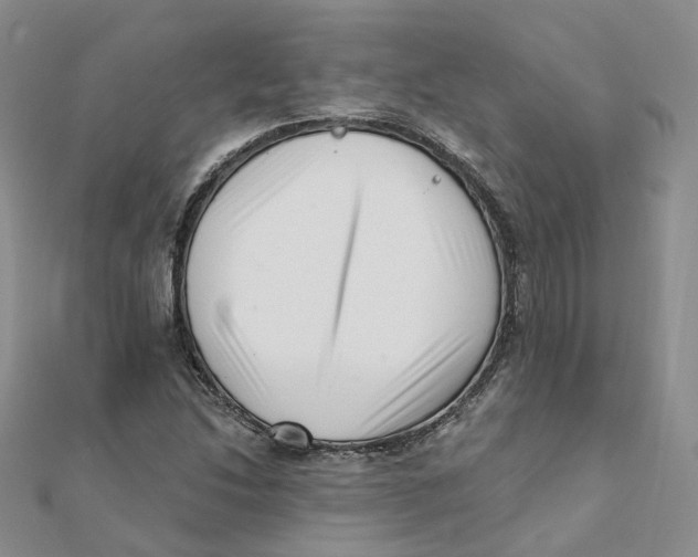 X0000112081214200909011037