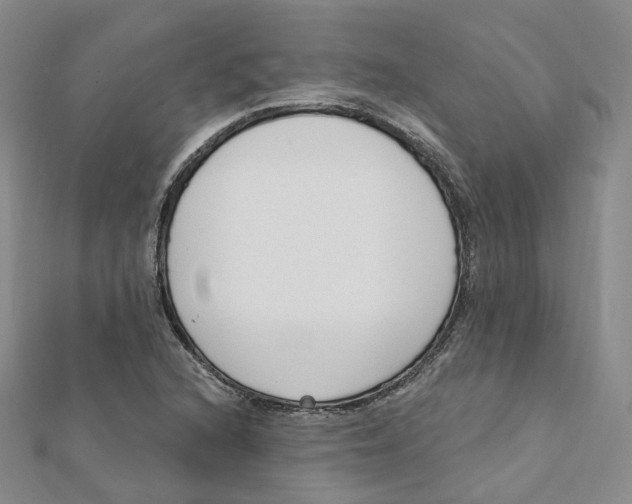 X0000112081216200909011037