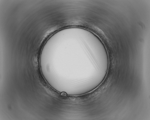 X0000112081218200909011037