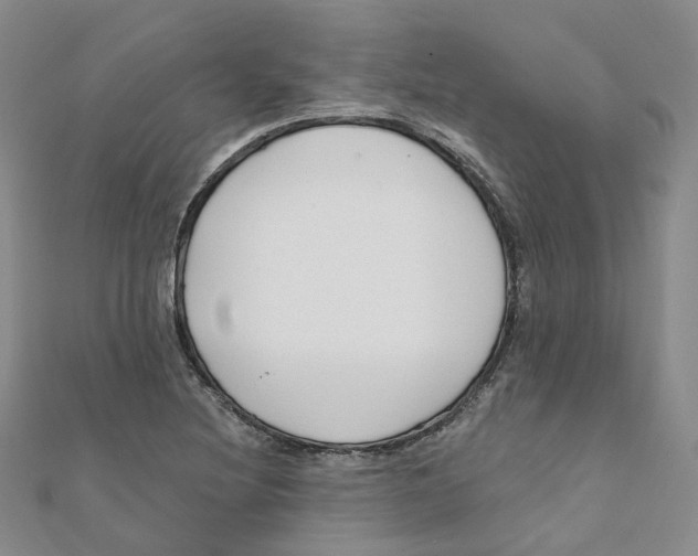 X0000112081220200909011037