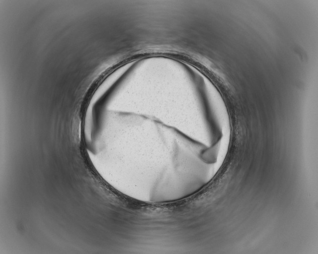 X0000112081221200909011037