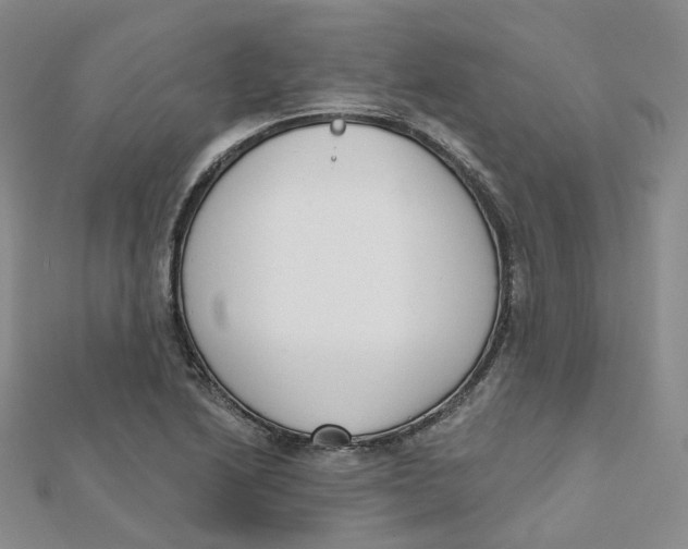 X0000112081222200909011037