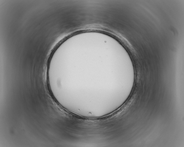 X0000112081224200909011037