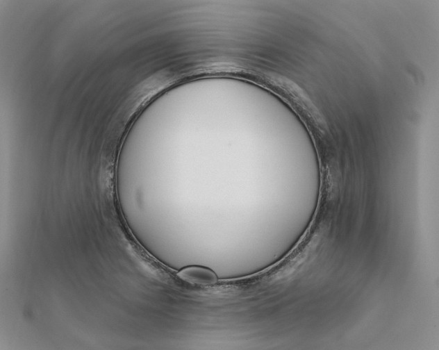 X0000112081225200909011037