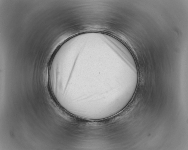 X0000112081227200909011037
