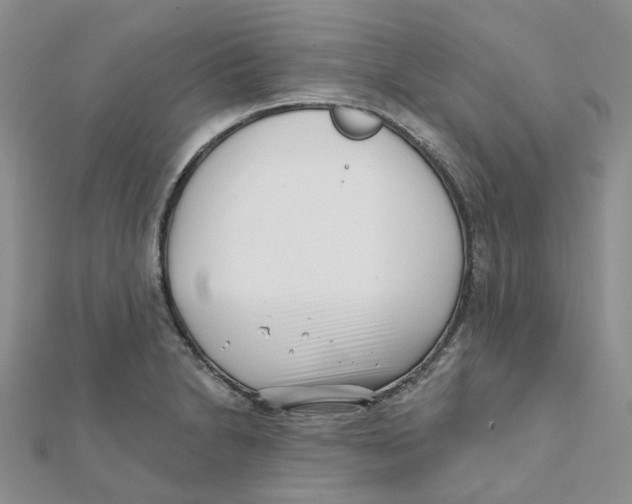 X0000112081230200909011037