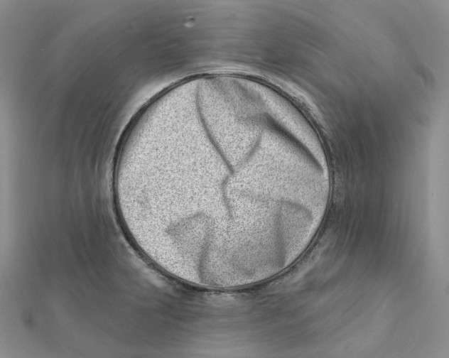 X0000112081231200909011037