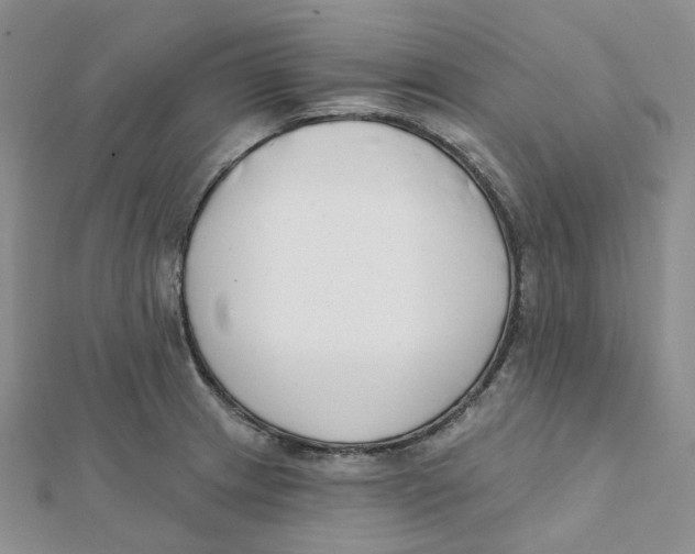 X0000112081233200909011037