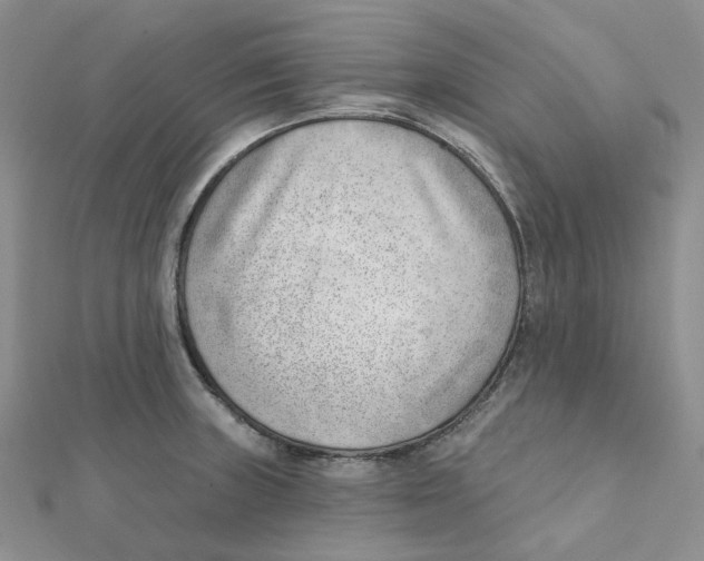 X0000112081235200909011037