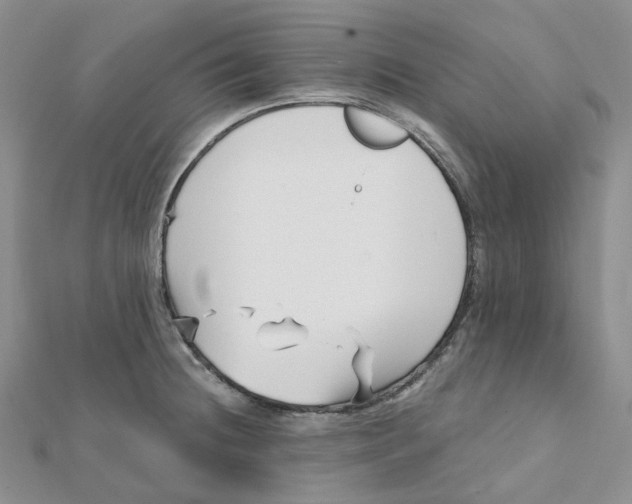 X0000112081236200909011037