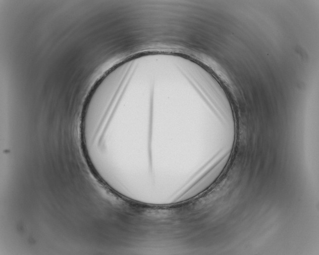 X0000112081237200909011037