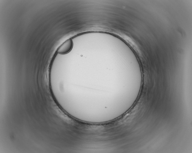X0000112081238200909011037