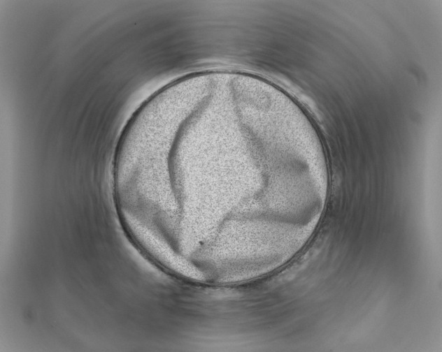 X0000112081239200909011037