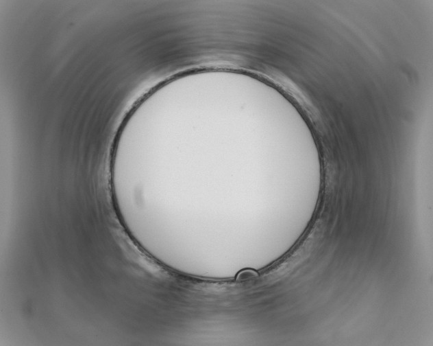 X0000112081240200909011037
