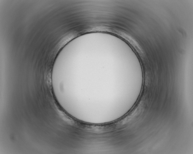 X0000112081241200909011037
