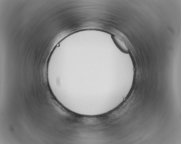 X0000112081242200909011037