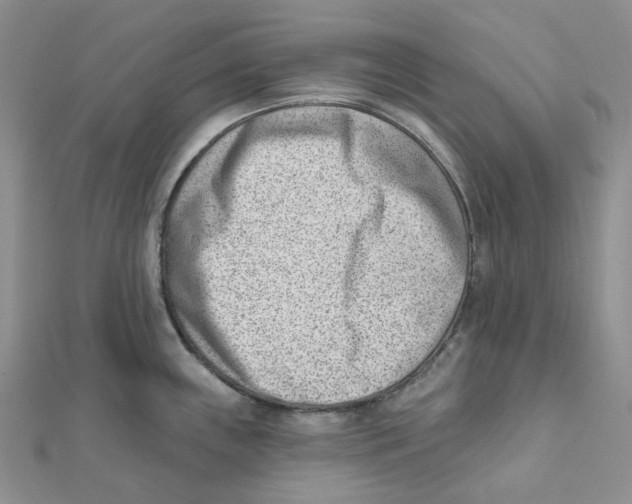 X0000112081243200909011037