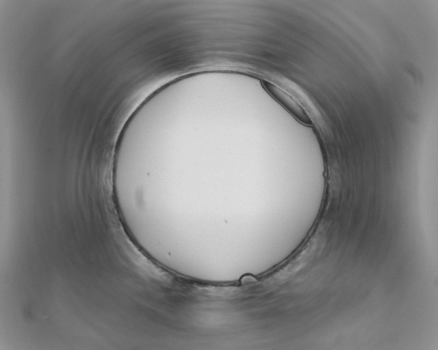 X0000112081244200909011037