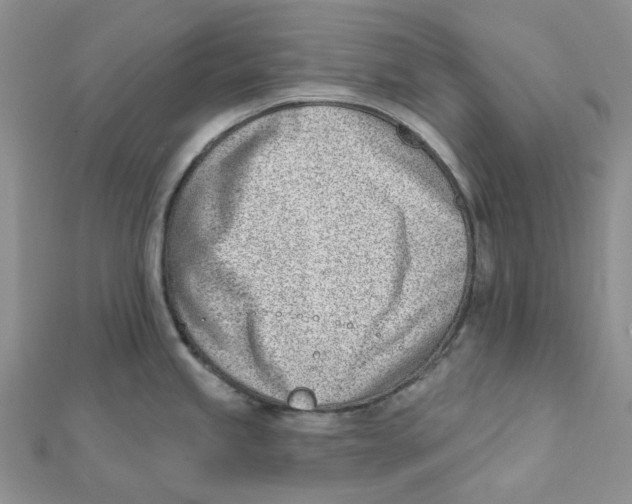 X0000112081245200909011037