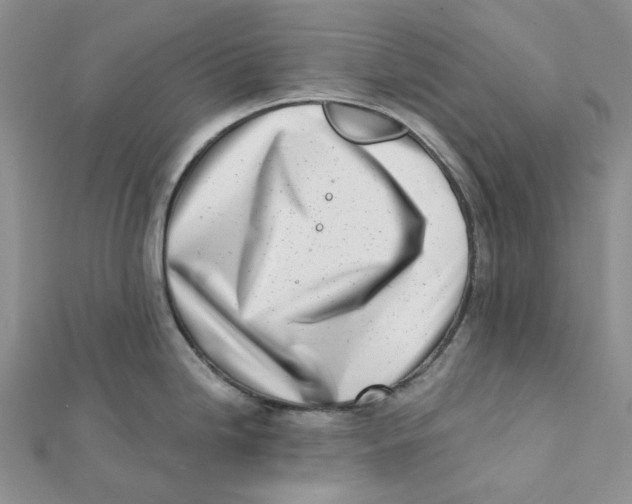 X0000112081246200909011037