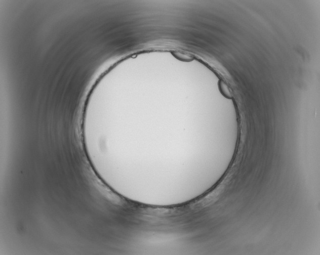 X0000112081248200909011037