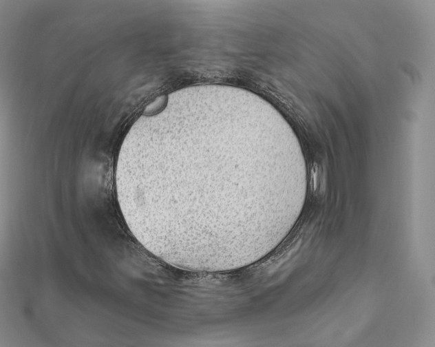 X0000112081251200909011036