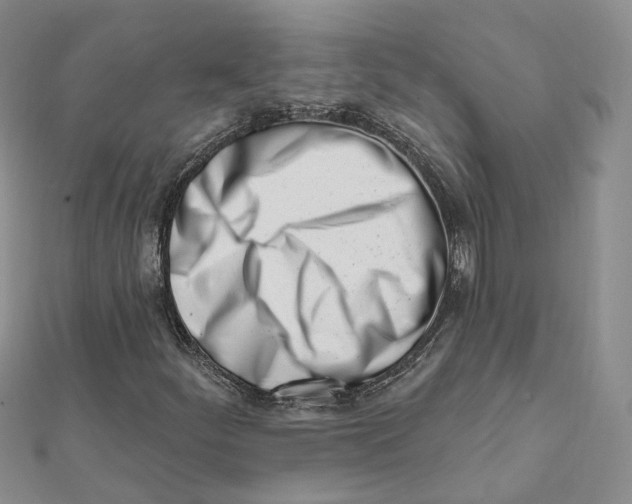 X0000112081252200909011036