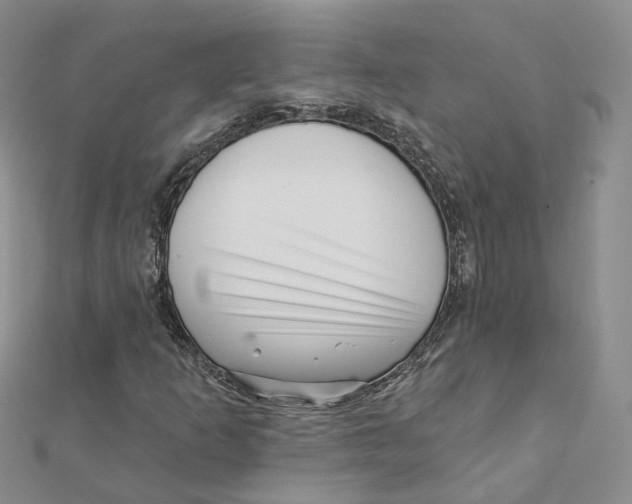 X0000112081253200909011036