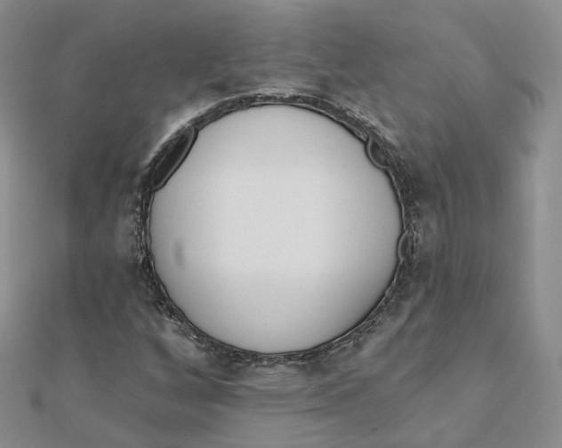 X0000112081256200909011036