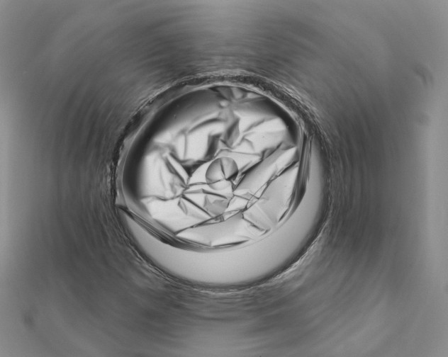 X0000112081257200909011036