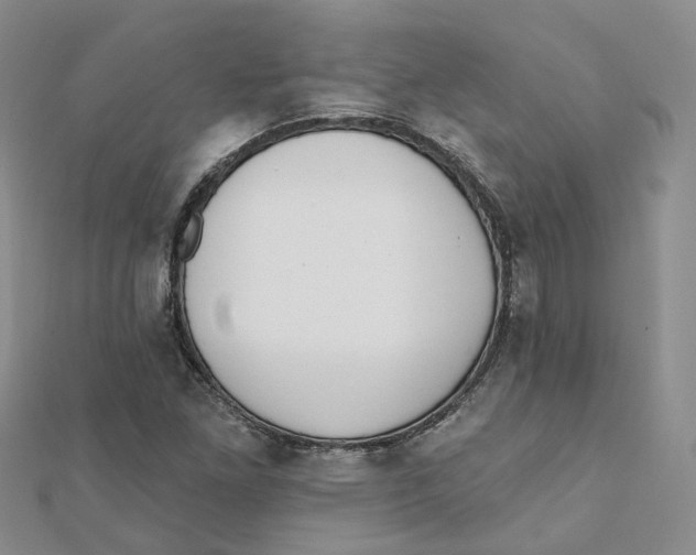 X0000112081261200909011036