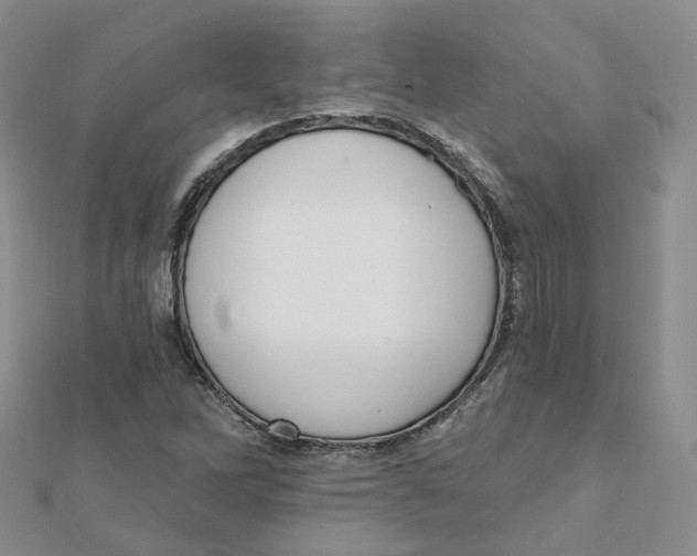 X0000112081262200909011036