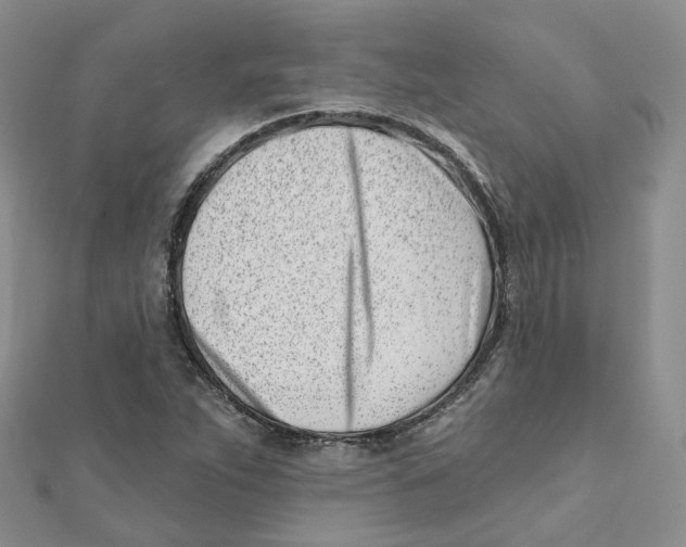 X0000112081263200909011036