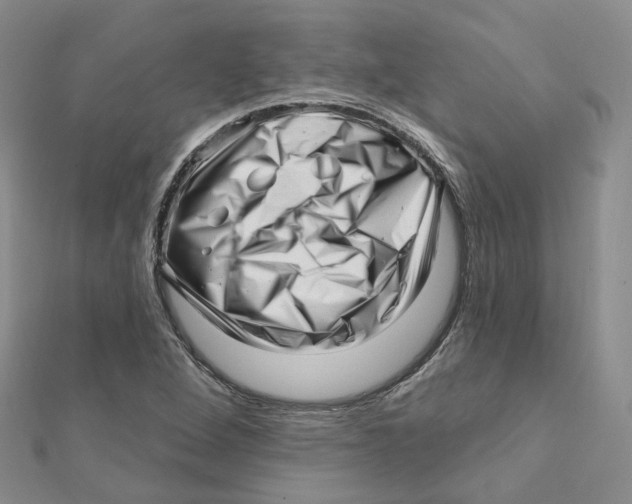 X0000112081264200909011036