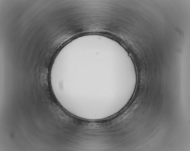 X0000112081265200909011036