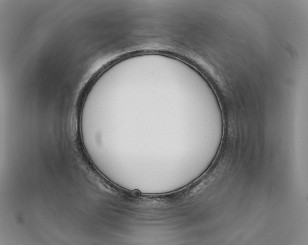 X0000112081270200909011036