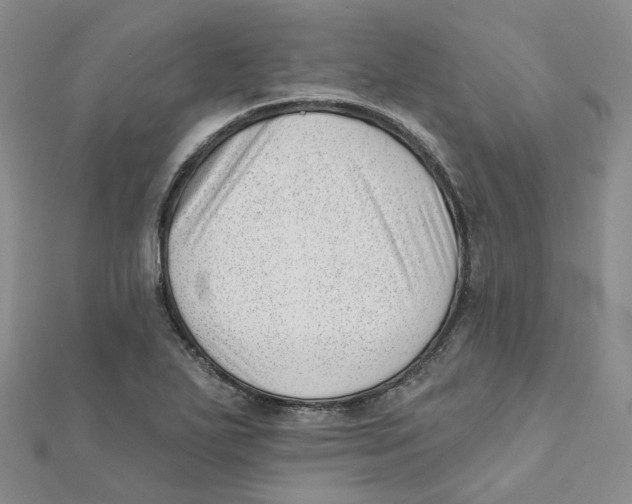 X0000112081271200909011036